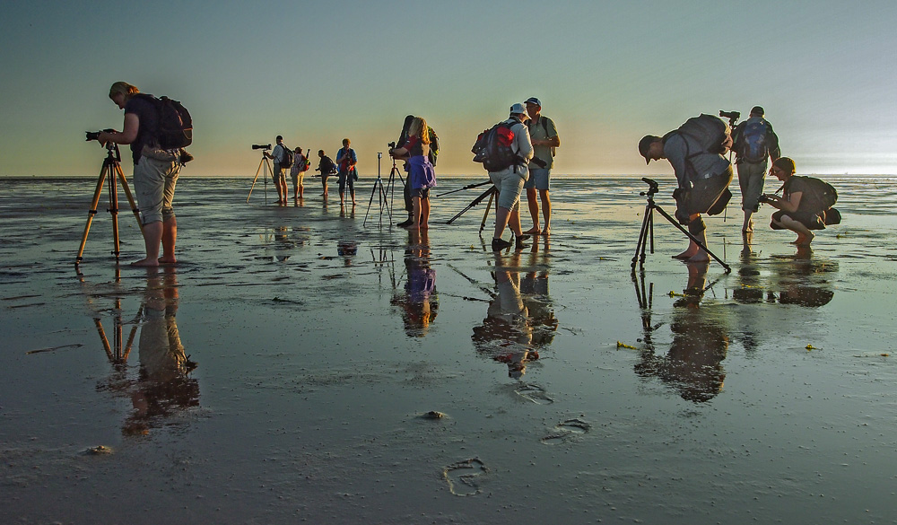 Fotografen im Nationalpark Wattenmeer