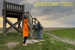00_Foto-WE_2026_Titel