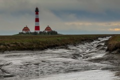 42_iP_20260418_0479