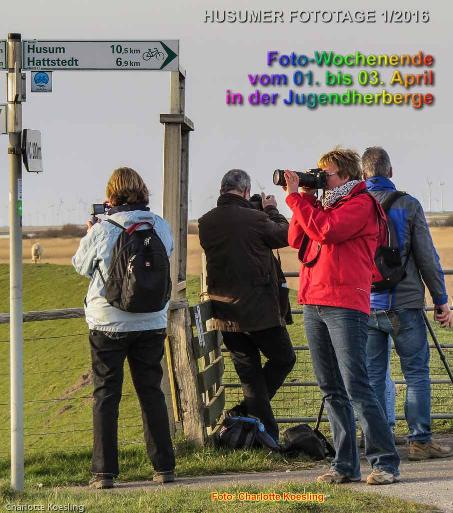 01_Titel_Foto-WE2016-2