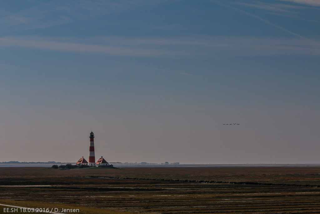 27__MG_0748