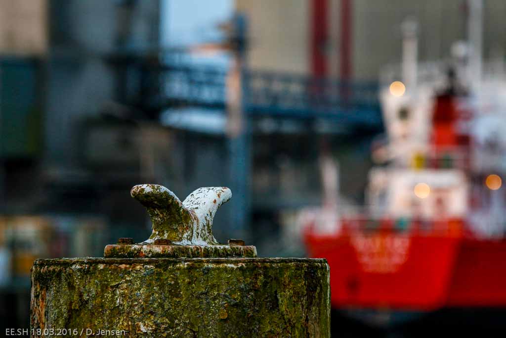 56__MG_0594